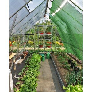 Balance Polycarbonate Greenhouse 8 x 12 ft. | Palram-Canopia