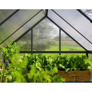 Mythos Polycarbonate Greenhouse 6 x 10 ft. Grey Frame | Palram-Canopia