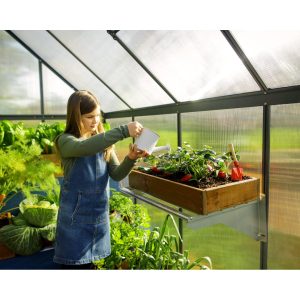 Mythos Polycarbonate Greenhouse 6 x 10 ft. Grey Frame | Palram-Canopia