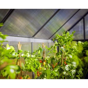Mythos Polycarbonate Greenhouse 6 x 10 ft. Grey Frame | Palram-Canopia
