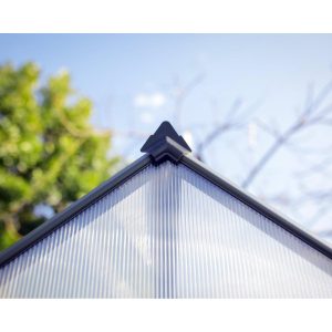 Mythos Polycarbonate Greenhouse 6 x 10 ft. Grey Frame | Palram-Canopia