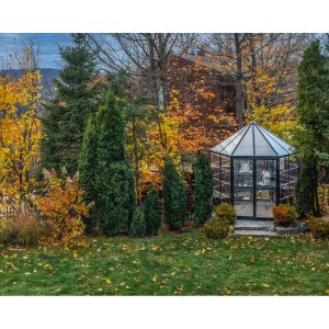 Oasis Hexagonal Polycarbonate Greenhouse Solarium 8 ft. | Palram-Canopia